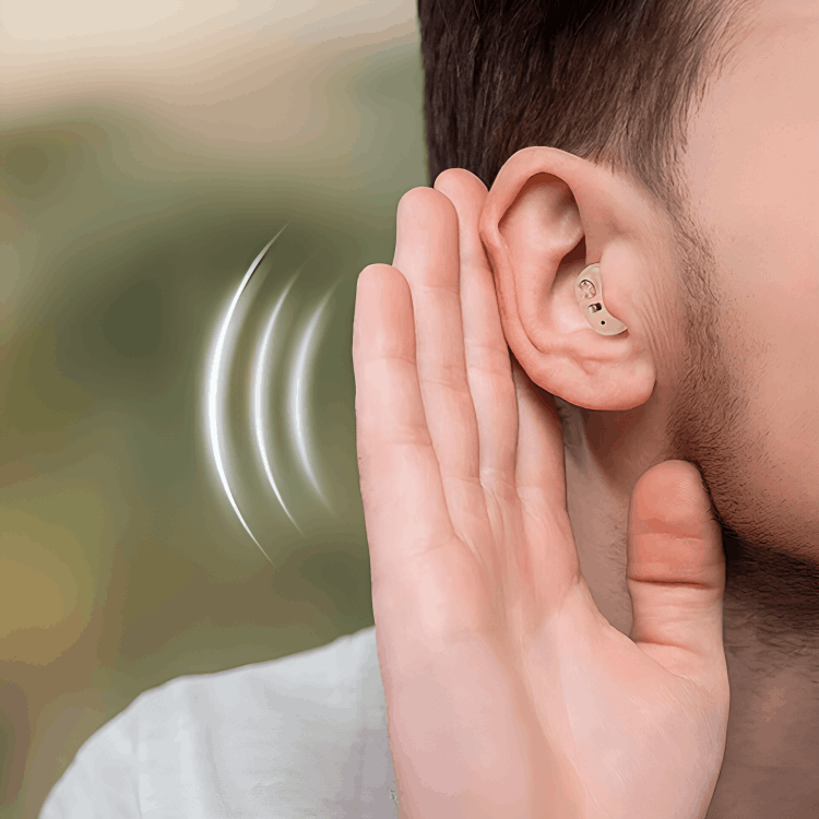 Omnihear Hearing Aids